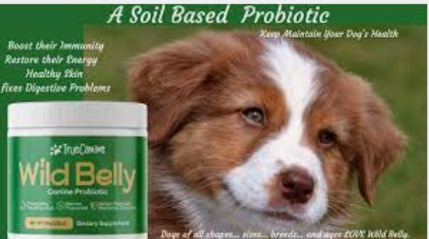 Wild Belly: The solution to your dogs irritable gut problem and Health Issues