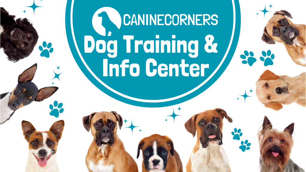 CanineCorners. Dog Training,  Dog Care and Dog Services